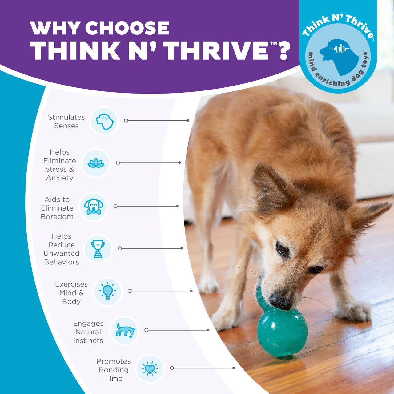 Double-Tuff Interactive Treat Stuffer Durable Dog Chew Toy, Blue, Medium - Image 6