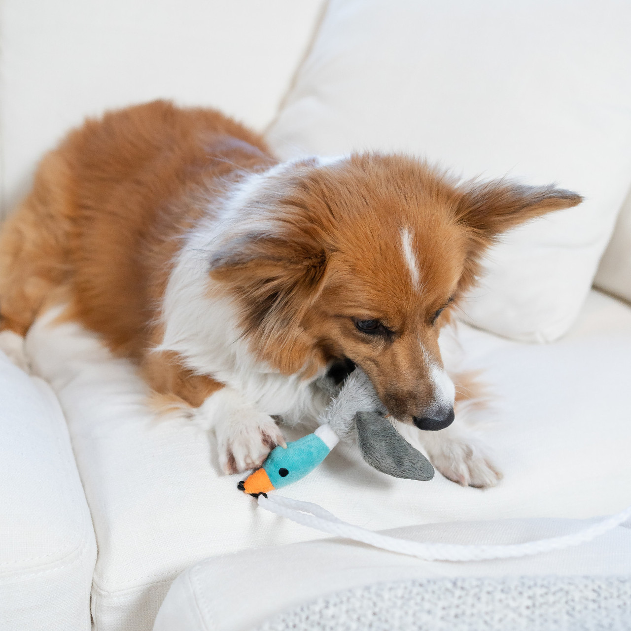 Tail Teaser Interactive Dog Wand Toy, Multi - Image 6