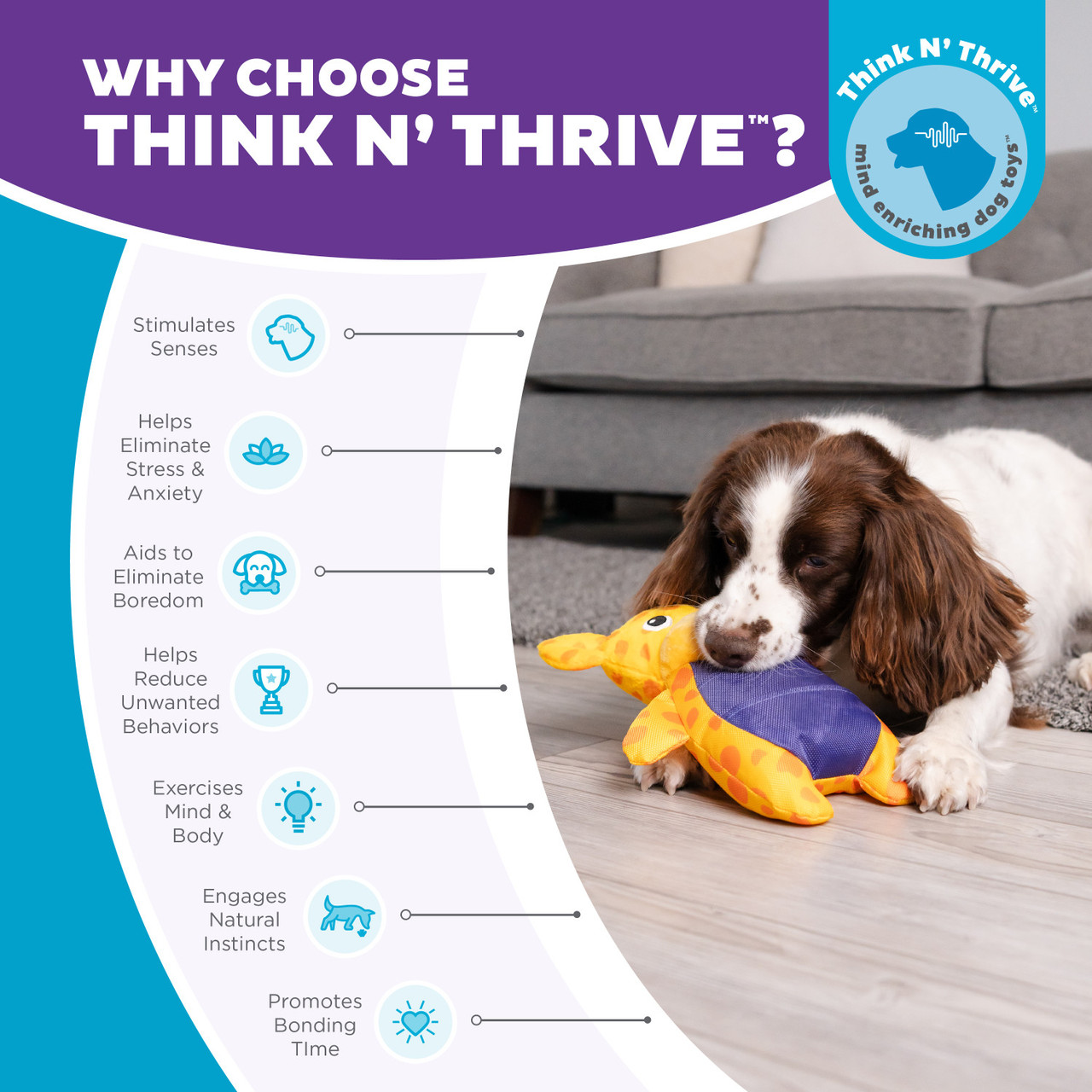 Puzzle Palz Interactive Plush Dog Puzzle - Image 6