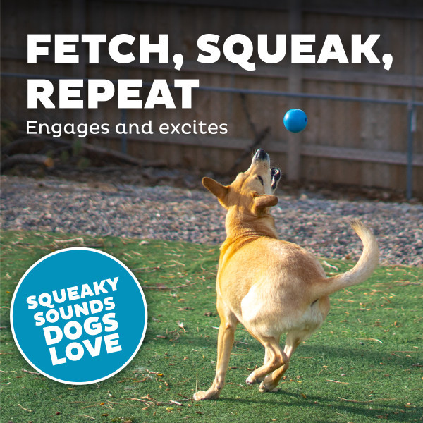 Orbee-Tuff Squeak Ball Dog Toy - Image 4