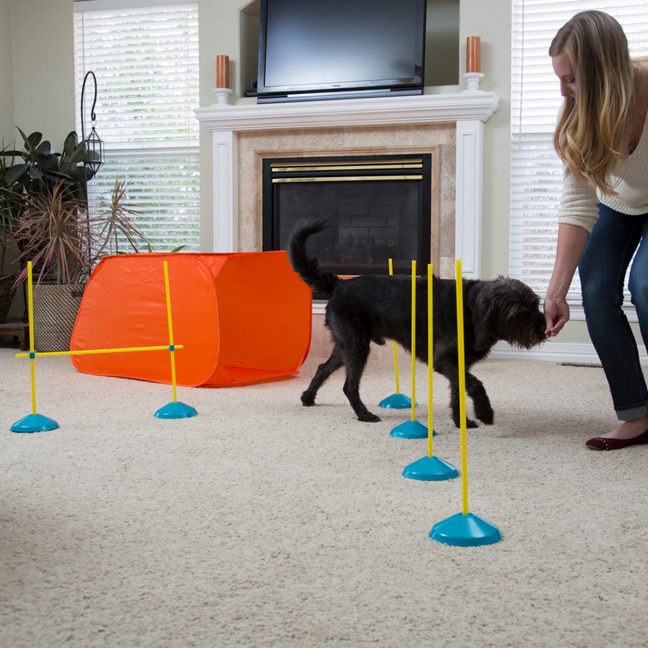 Zip & Zoom Indoor Dog Agility Training Kit for Dogs, Multi - Image 7