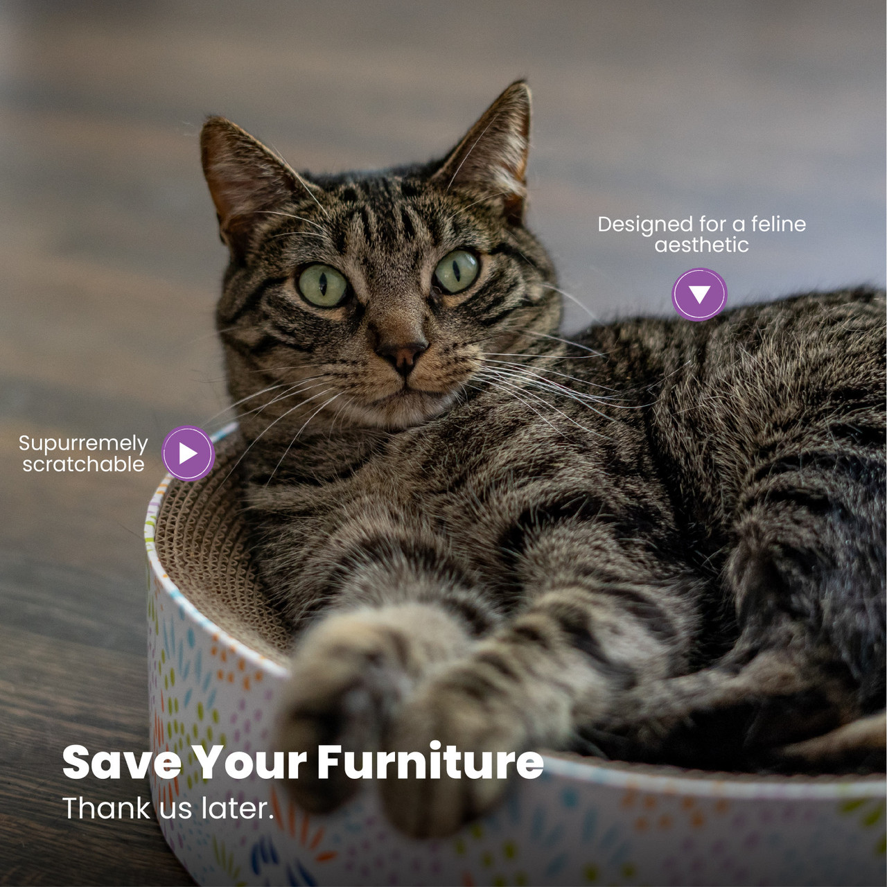 Scratch & Cuddle Corrugated Cat Scratcher and Lounger Bowl for Small Cats, Mlt - Image 5