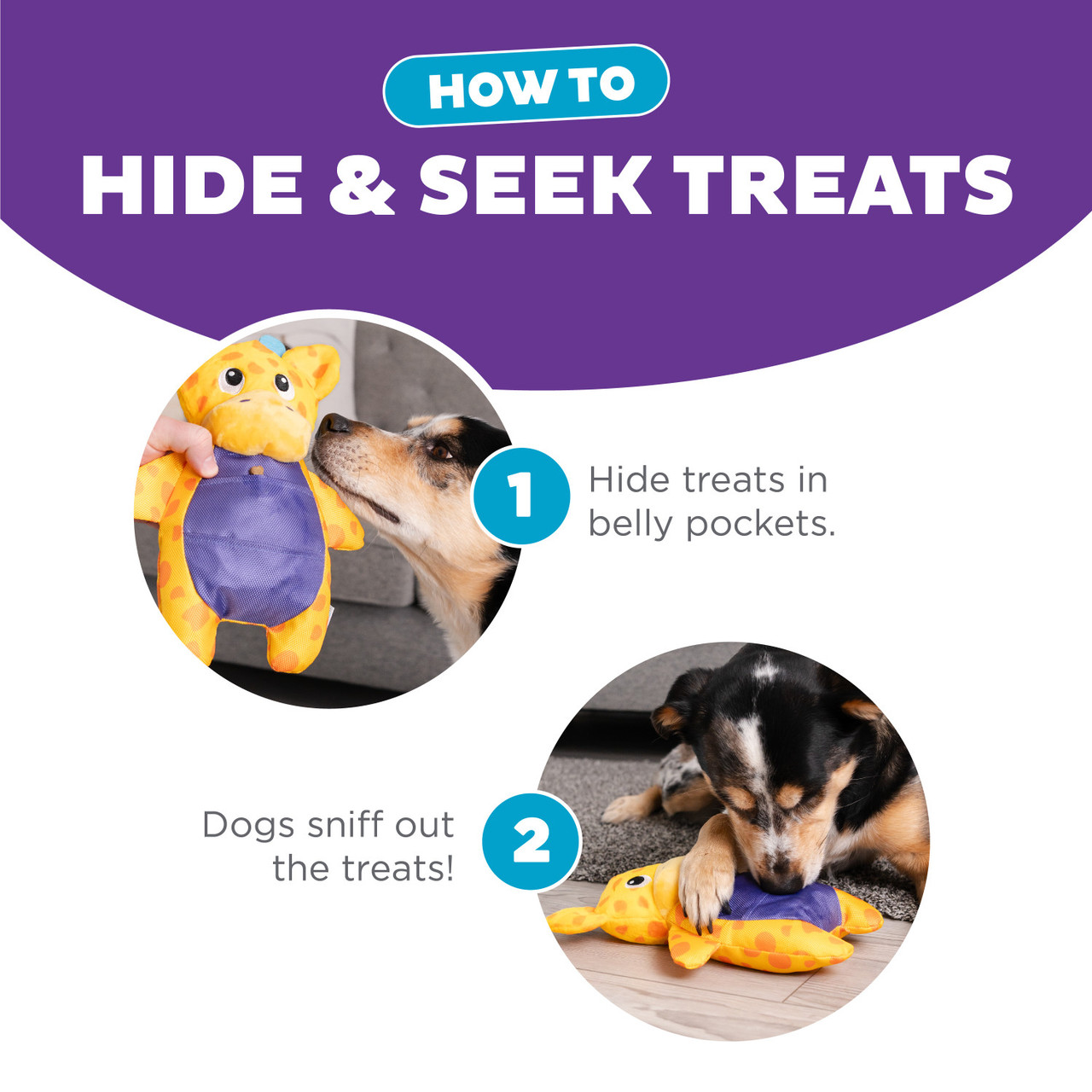 Puzzle Palz Interactive Plush Dog Puzzle - Image 5