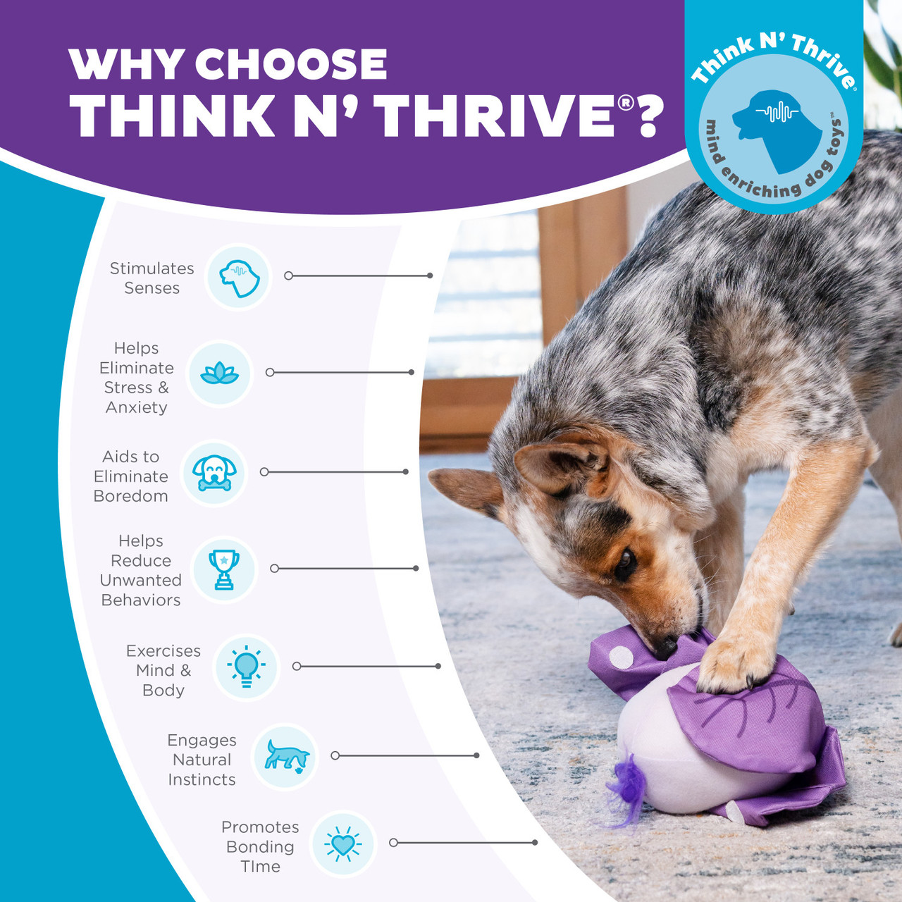 Hide N' Find Interactive Plush Dog Puzzle - Image 6