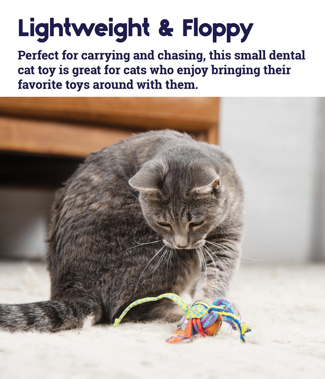 Tons of Tails Dental Cat Toy, Multi - Image 3