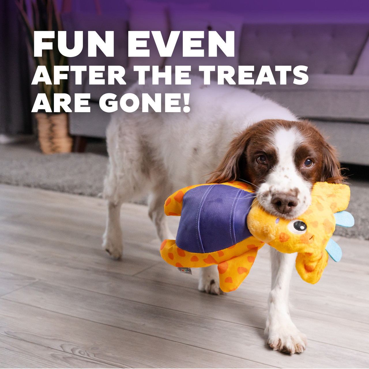 Puzzle Palz Interactive Plush Dog Puzzle - Image 4