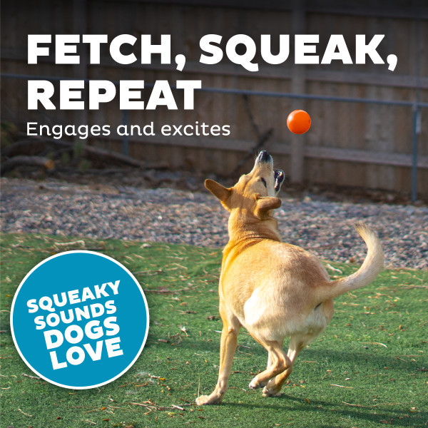 Orbee-Tuff Squeak Ball Dog Toy - Image 9