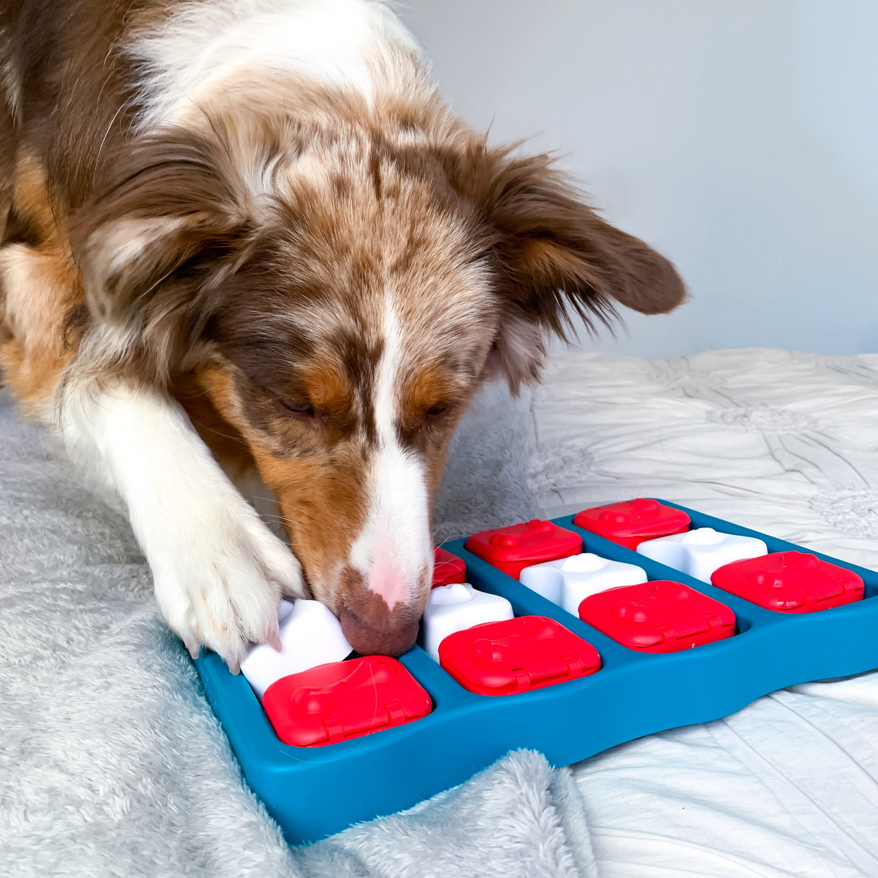 Dog Brick Interactive Treat Puzzle Dog Toy, Blue - Image 6