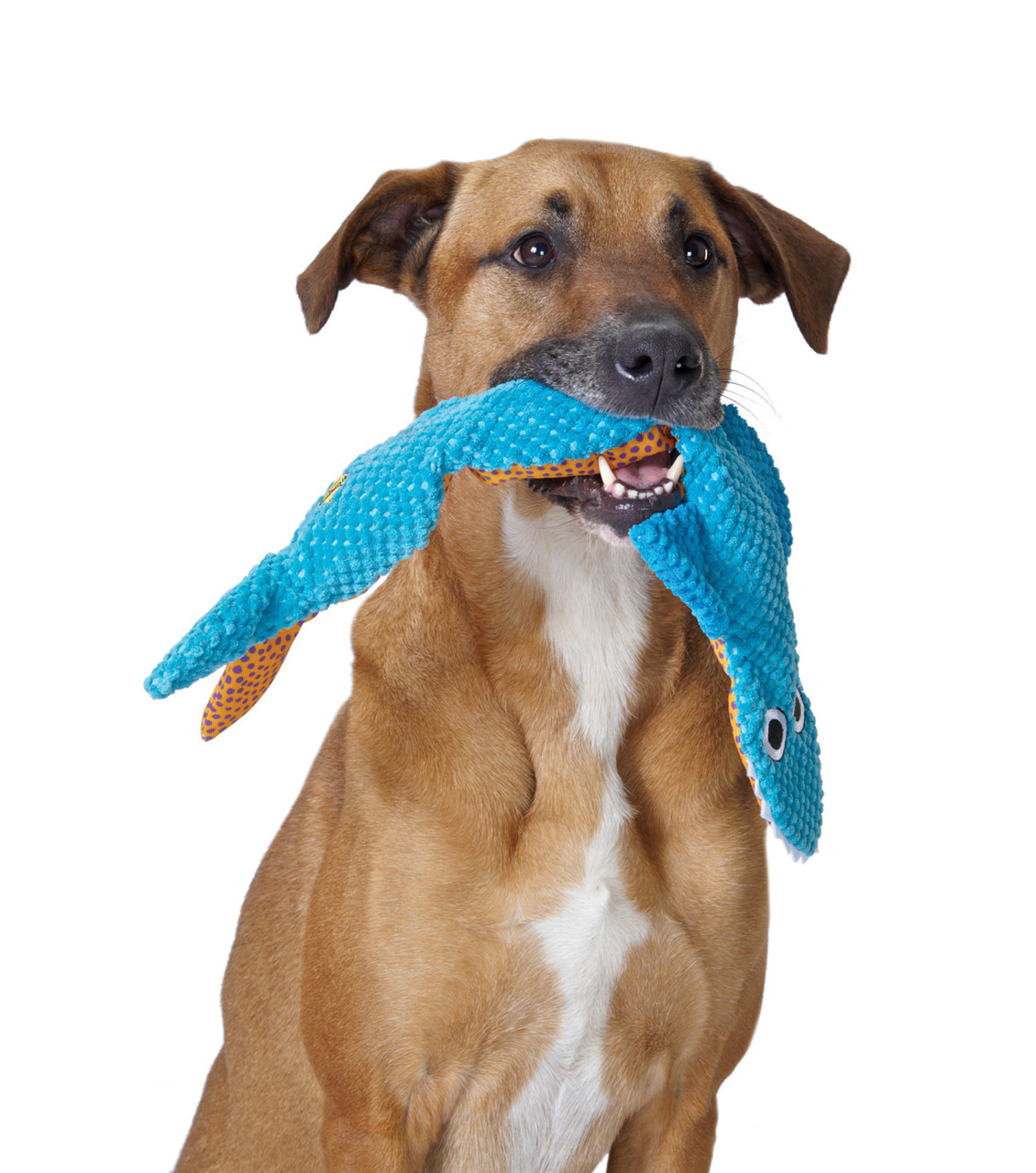 Stuffing-Free Big Squeak Plush Dog Toy - Image 7
