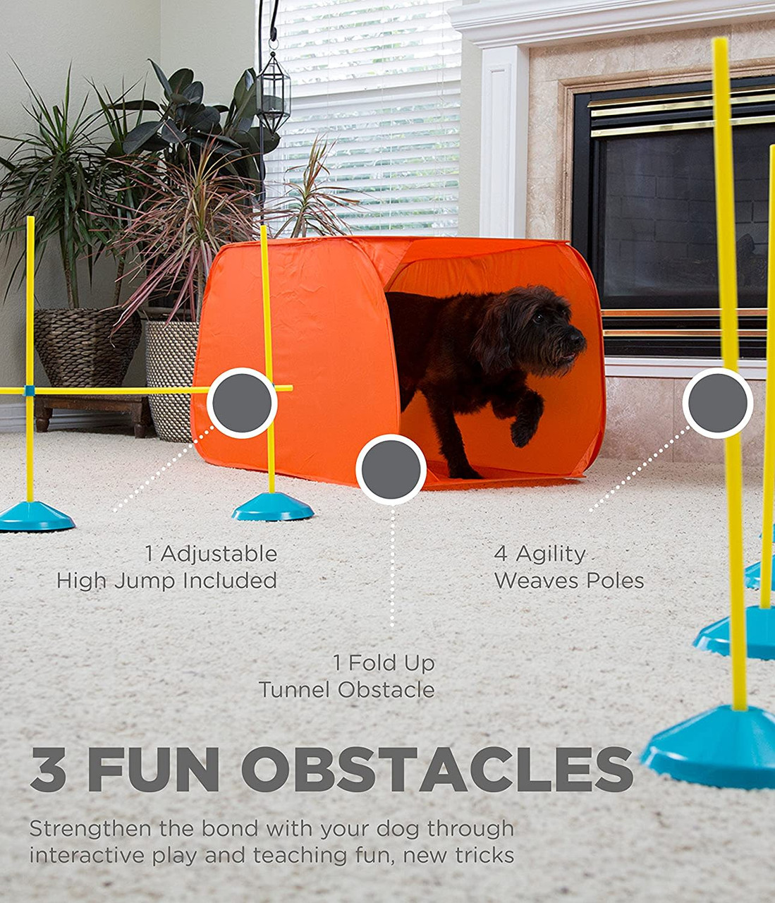 Zip & Zoom Indoor Dog Agility Training Kit for Dogs, Multi - Image 2