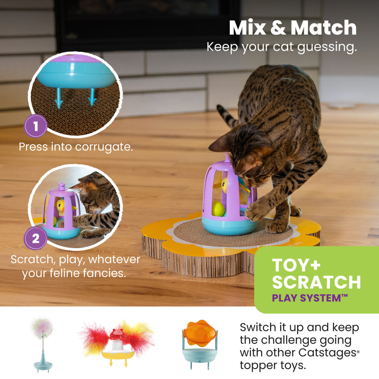 Scratch Tppr Chirping Bird Prp - Image 3