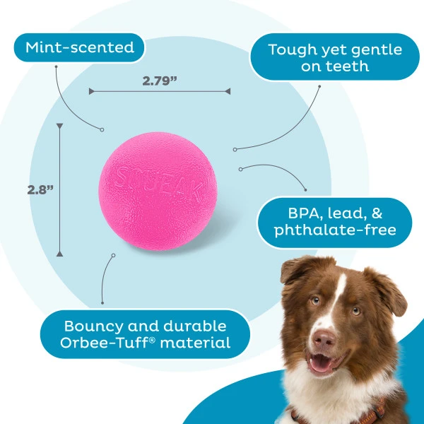 Orbee-Tuff Squeak Ball Dog Toy, Pink - Image 3