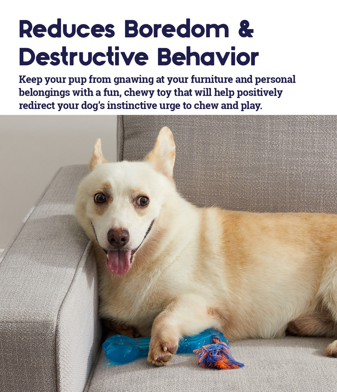 Orka Alternative Dog Chew Toy, Bone - Image 17