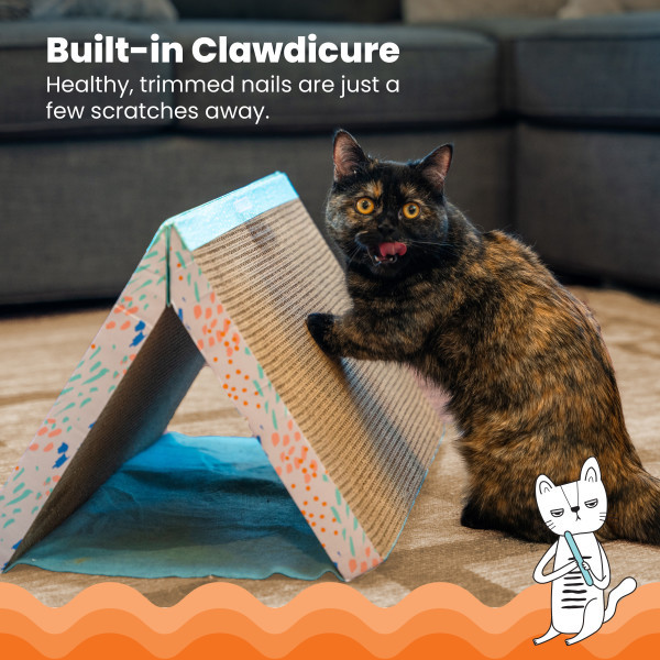 Fold Away Tunnel and Cat Scratcher, Multi - Image 3