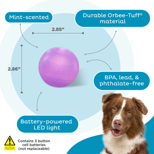 Orbee-Tuff Strobe Ball Light Up Dog Toy, Purple - Image 3