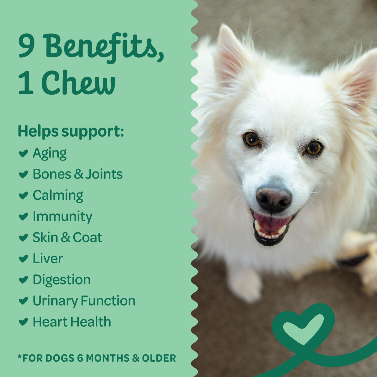 Wholesome Pride 9-in-1 Multi-Chews Supplement for Dogs 6.3oz - Image 2