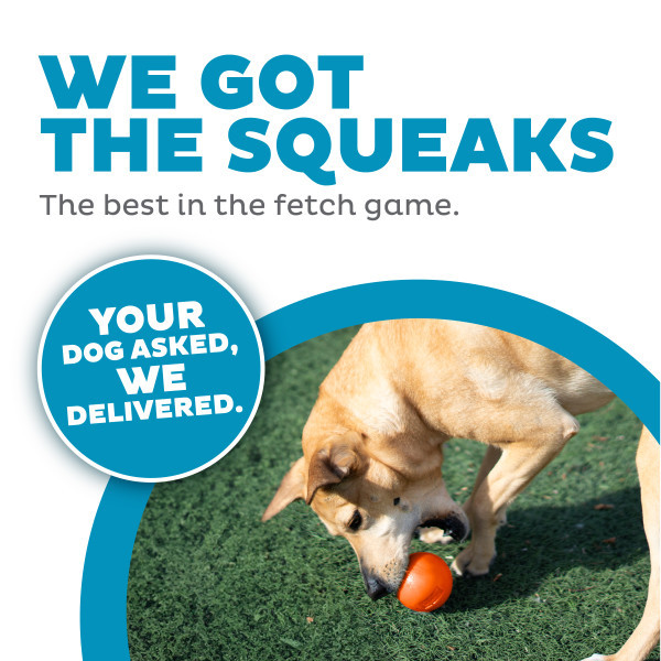 Orbee-Tuff Squeak Ball Dog Toy - Image 7
