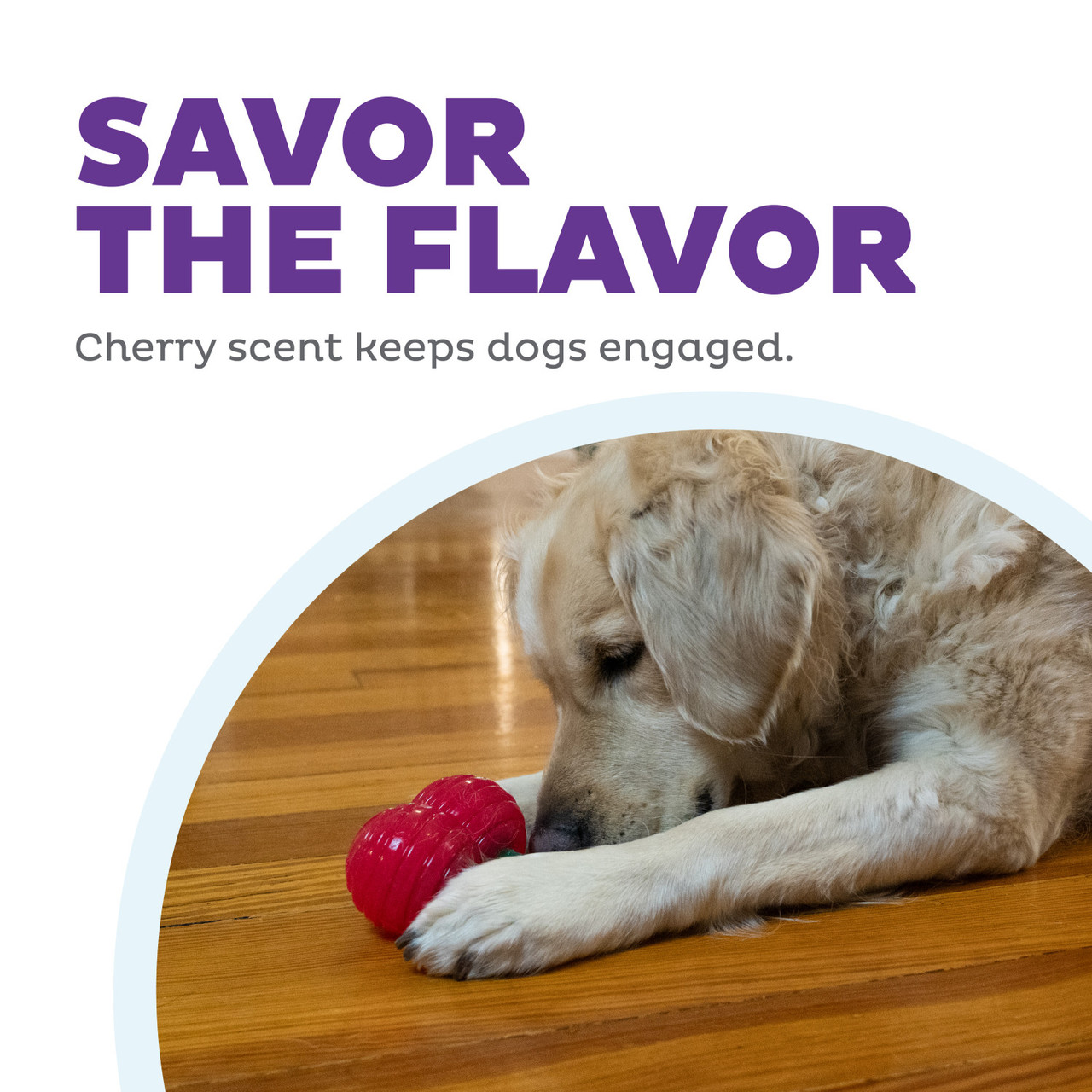 Gummiez Cherries - Image 5