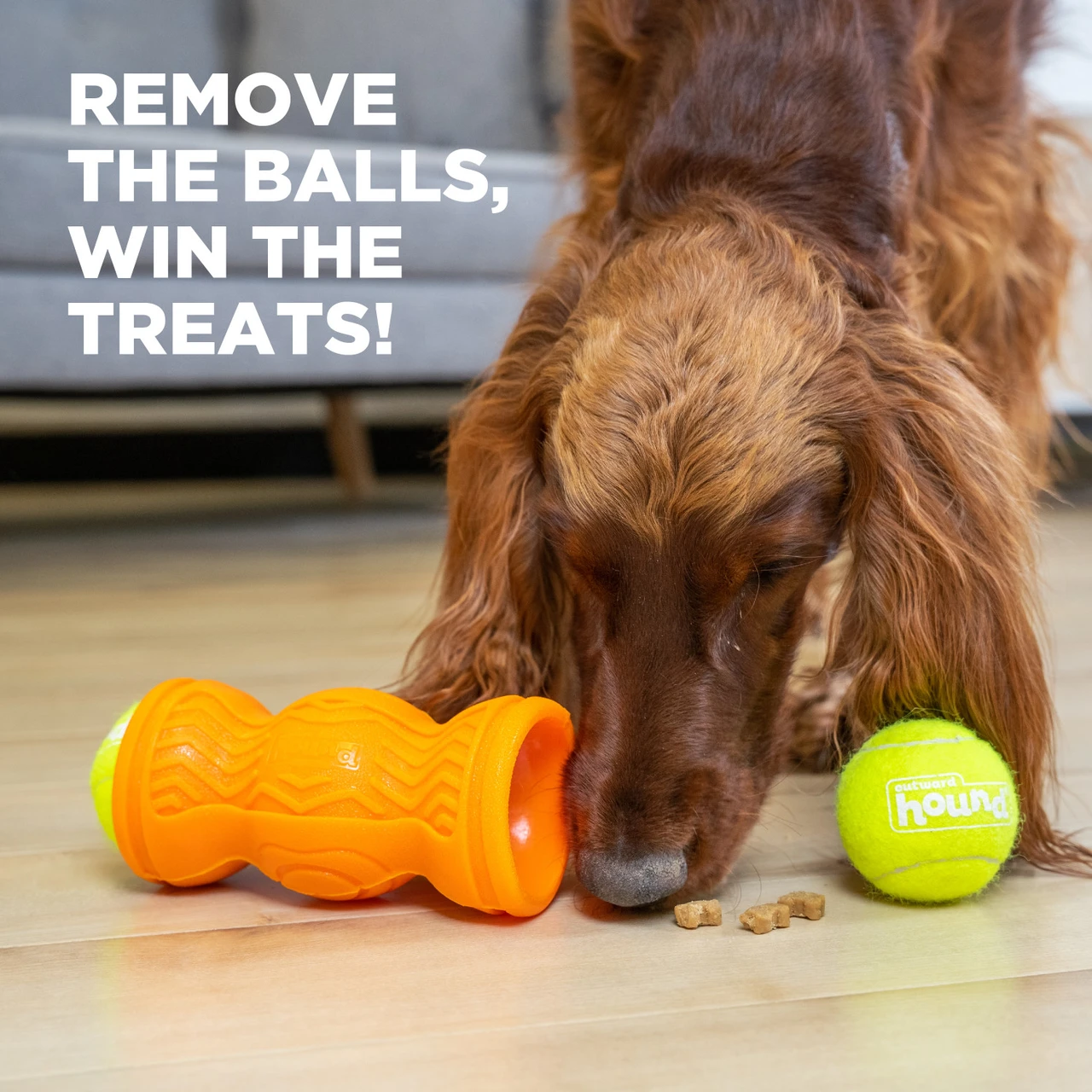 Tennis & Treat, Orange - Image 6