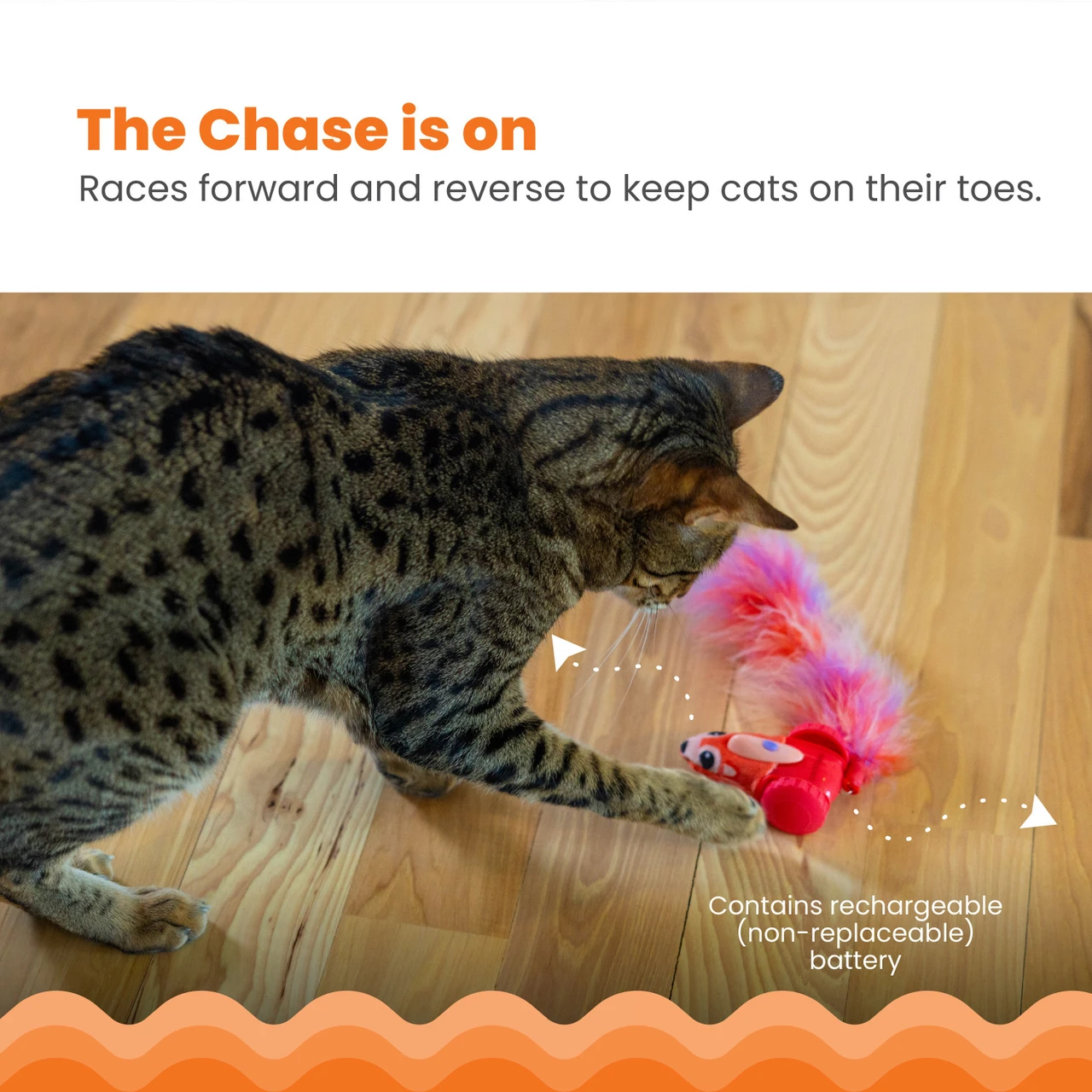 RACIN' SQUIRREL ROBOT TOY - Image 5