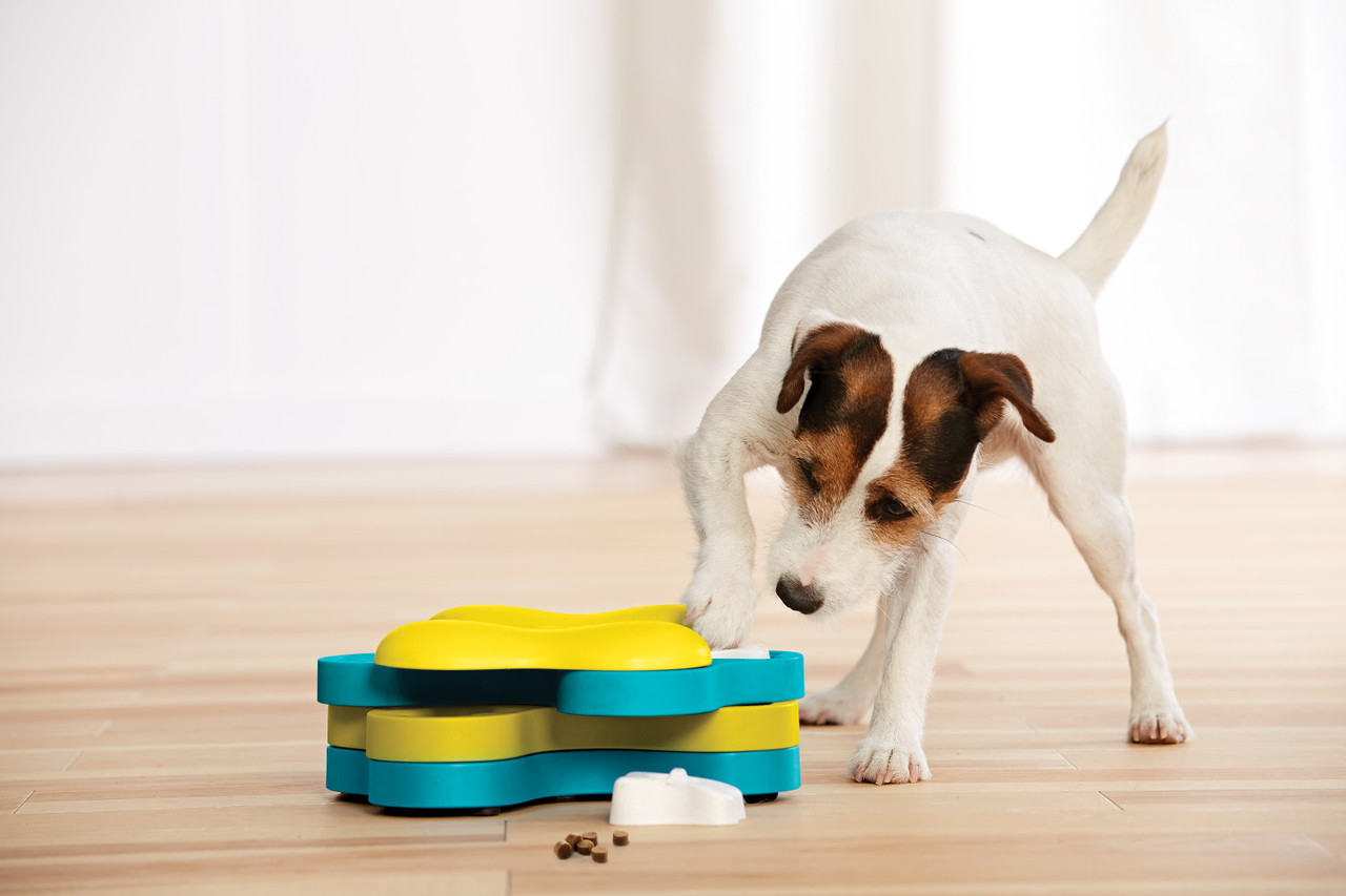 Dog Tornado Interactive Treat Puzzle Dog Toy, Blue - Image 7