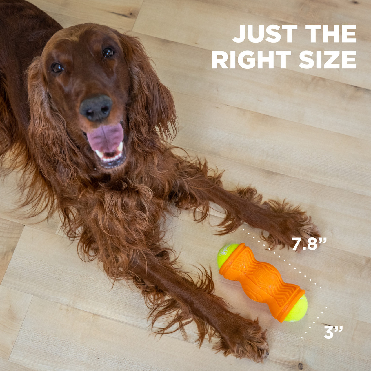 Tennis & Treat, Orange - Image 7