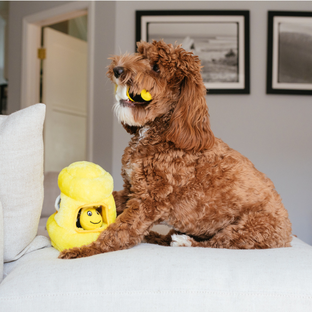 Hide A Toy Plush Puzzle Toy - Image 23