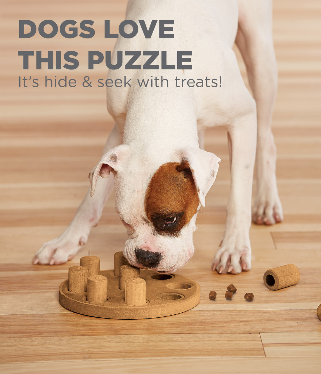 Dog Smart Composite Interactive Treat Puzzle Dog Toy, Tan - Image 4