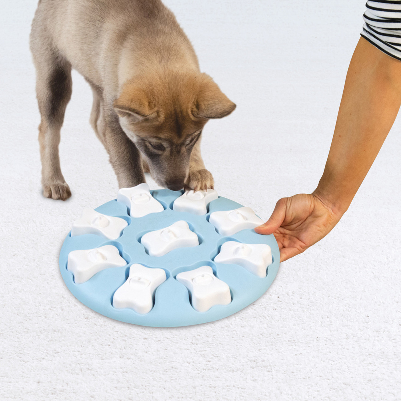 Puppy Smart Interactive Treat Puzzle Dog Toy, Blue - Image 8