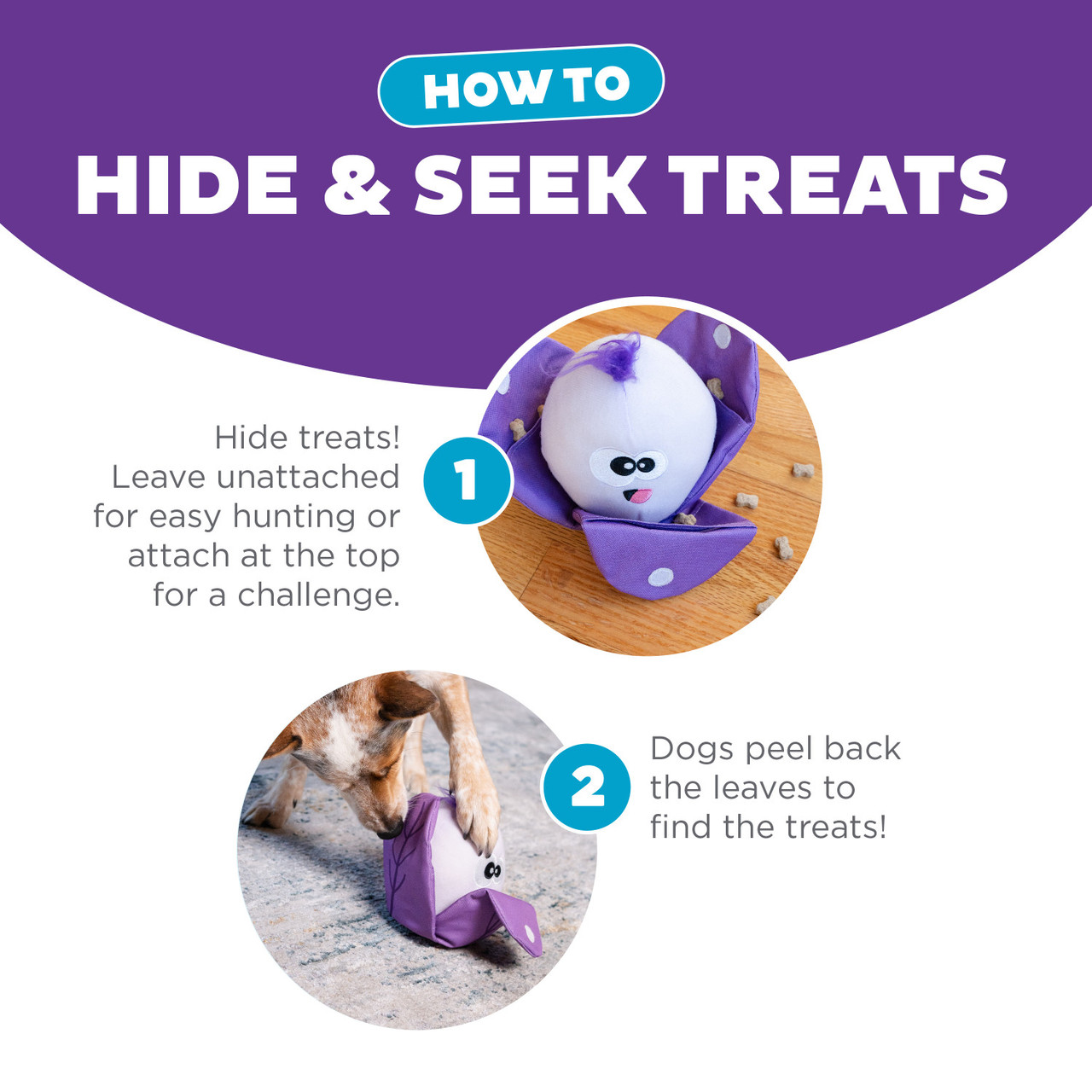 Hide N' Find Interactive Plush Dog Puzzle - Image 4