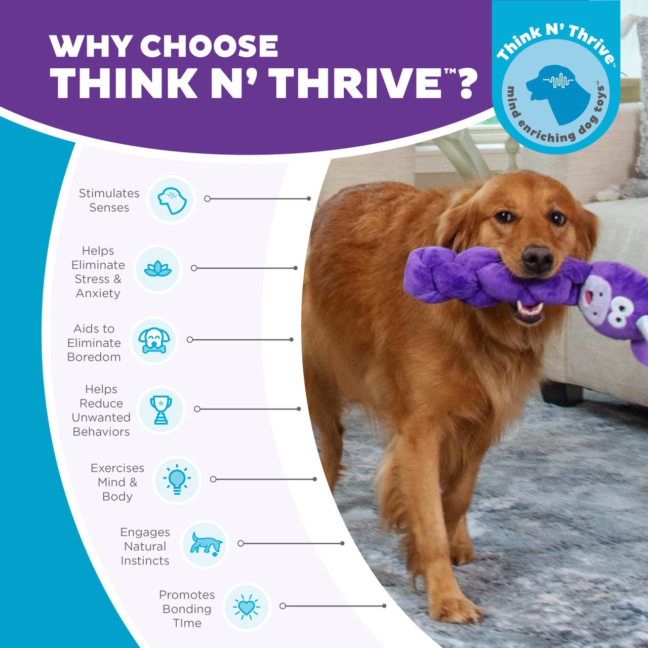Twistiez Interactive Plush Dog Puzzle - Image 6
