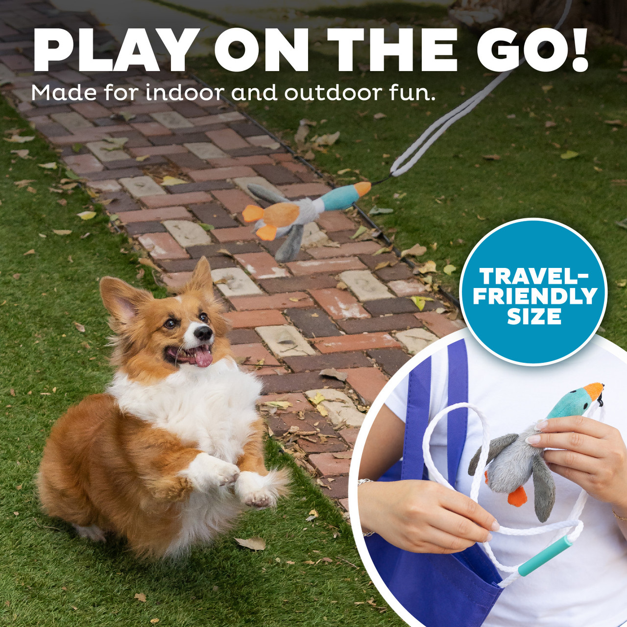 Tail Teaser Interactive Dog Wand Toy, Multi - Image 5