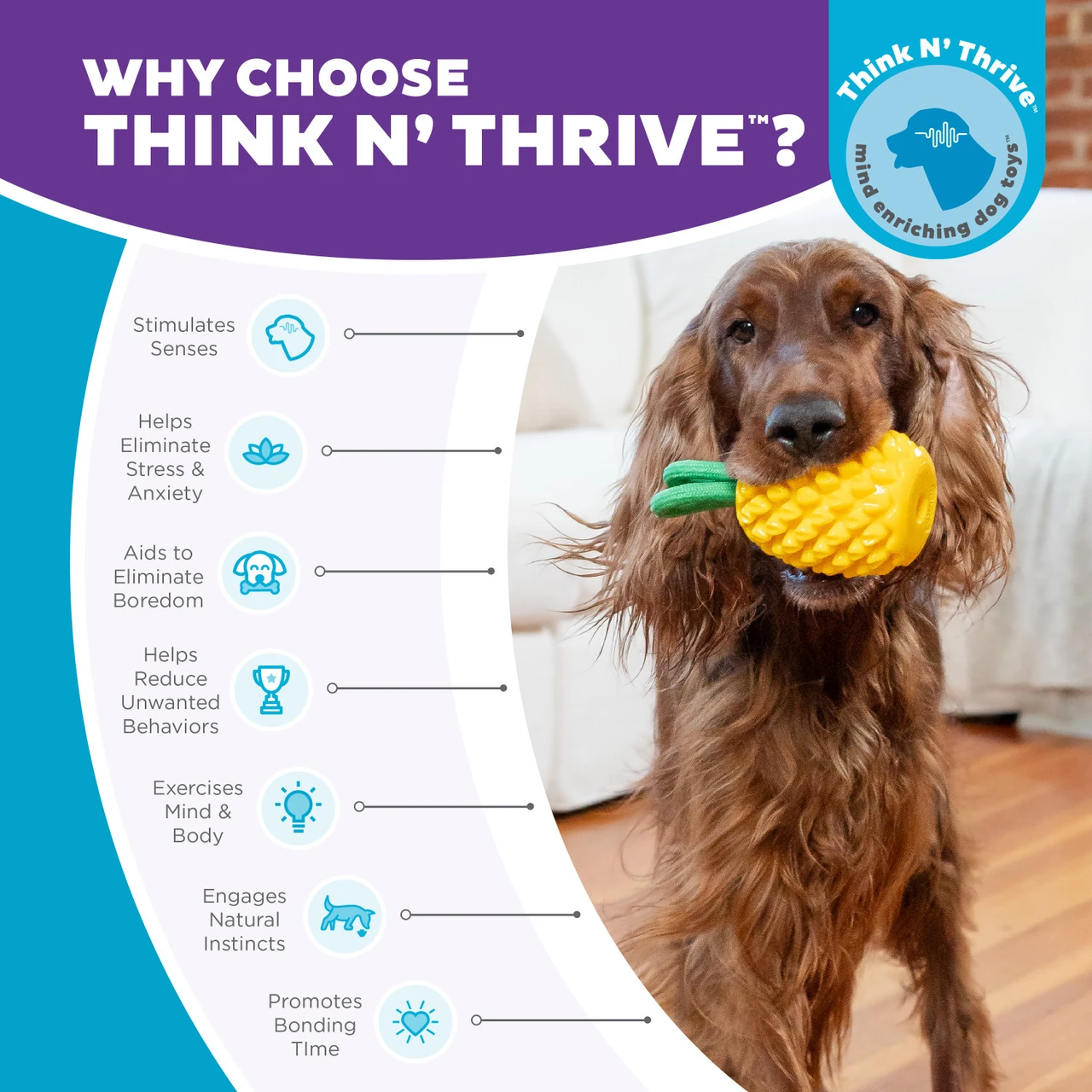 Dental Pineapple Dental Chew Toy and Interactive Treat Stuffer, Yellow - Image 6