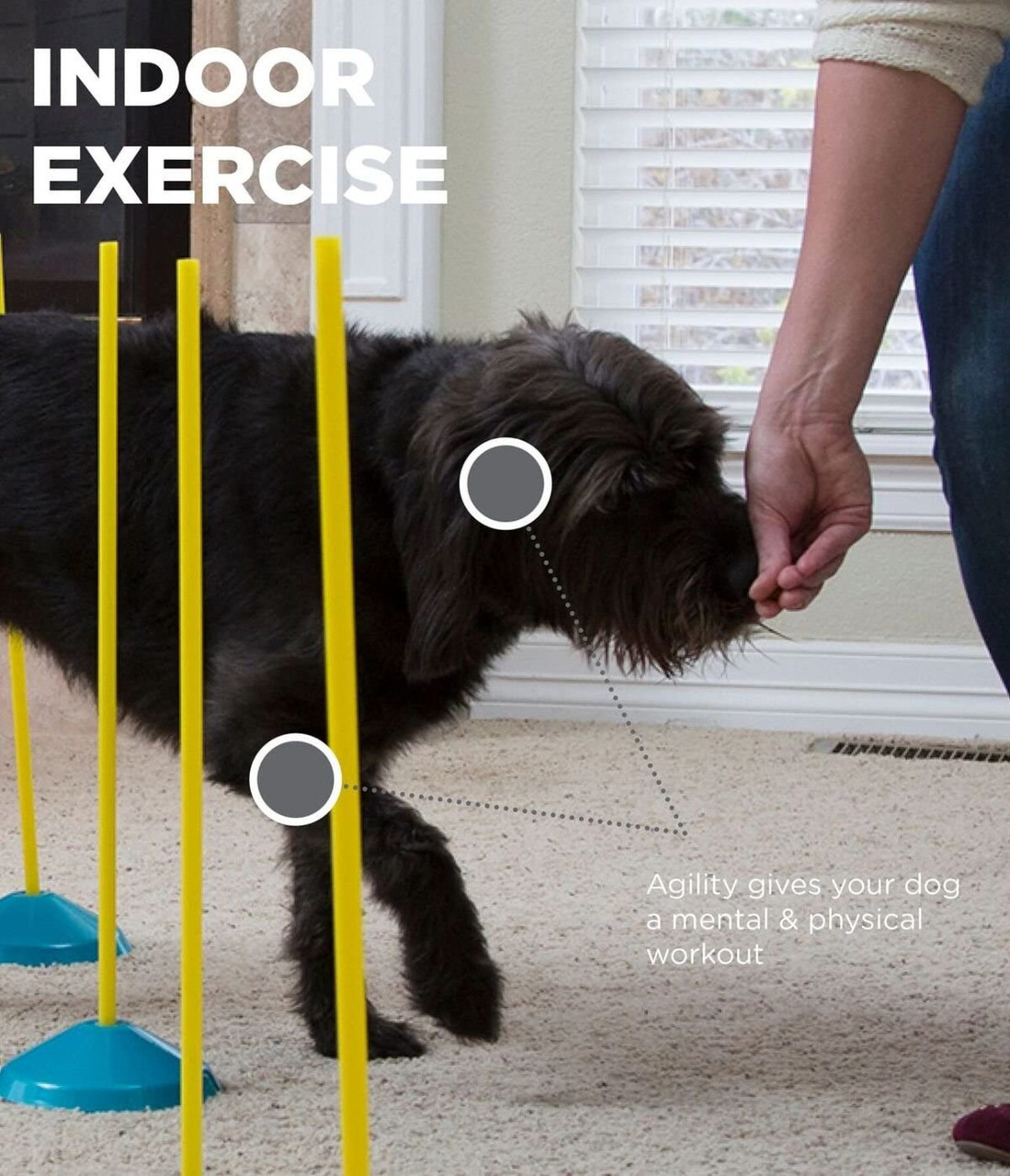 Zip & Zoom Indoor Dog Agility Training Kit for Dogs, Multi - Image 4
