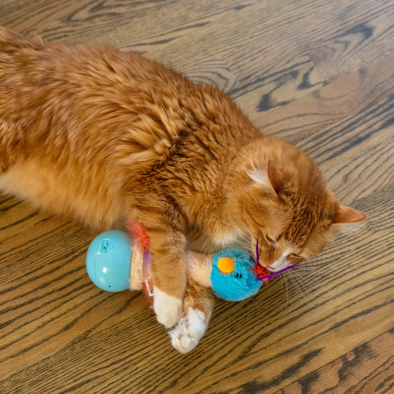 Electronic Dancing Ostrich Blu - Image 2