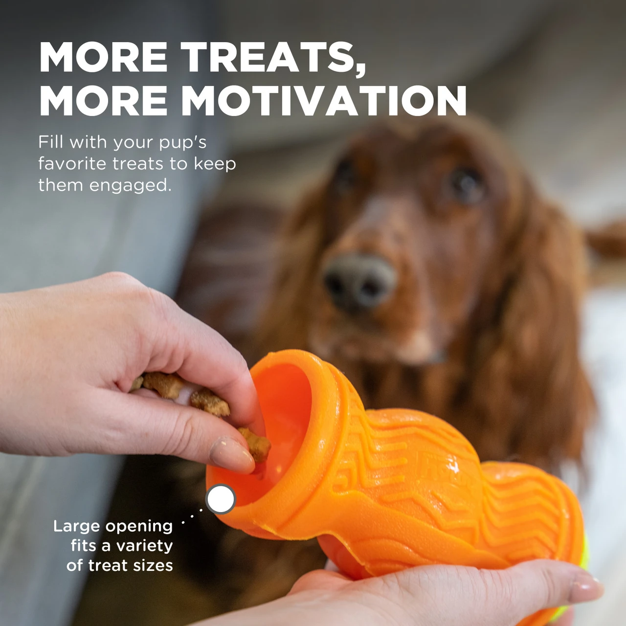 Tennis & Treat, Orange - Image 4