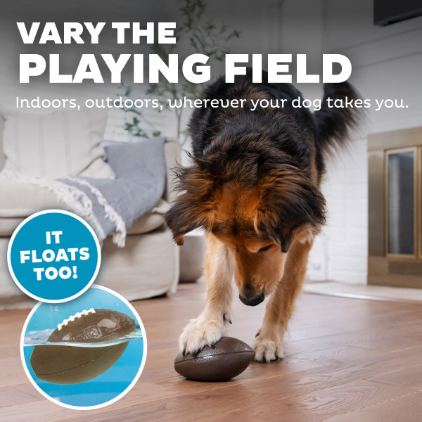 Orbee-Tuff Football Treat-Dispensing Dog Chew Toy, Brown - Image 5