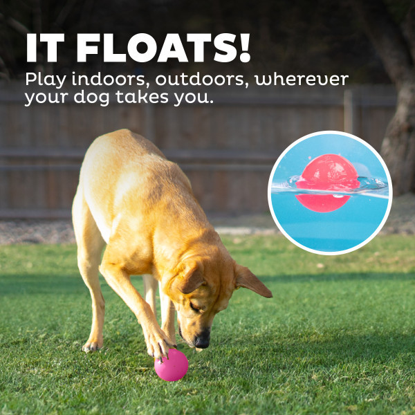 Orbee-Tuff Squeak Ball Dog Toy, Pink - Image 5