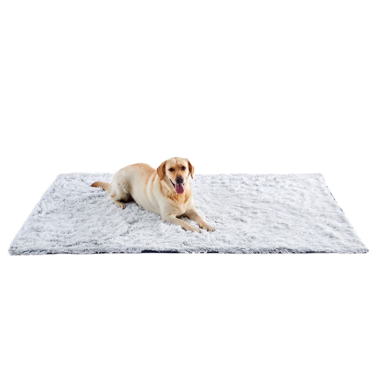 Calming Shag Oversized Dog Blanket for Large Dogs, Frost, 60X80