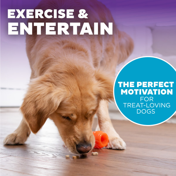 Orbee-Tuff Carrot Treat-Dispensing Dog Chew Toy, Orange - Image 5