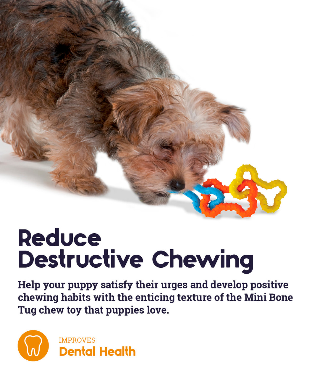 Mini Bone Tug Puppy Chew Toy, Multi - Image 5