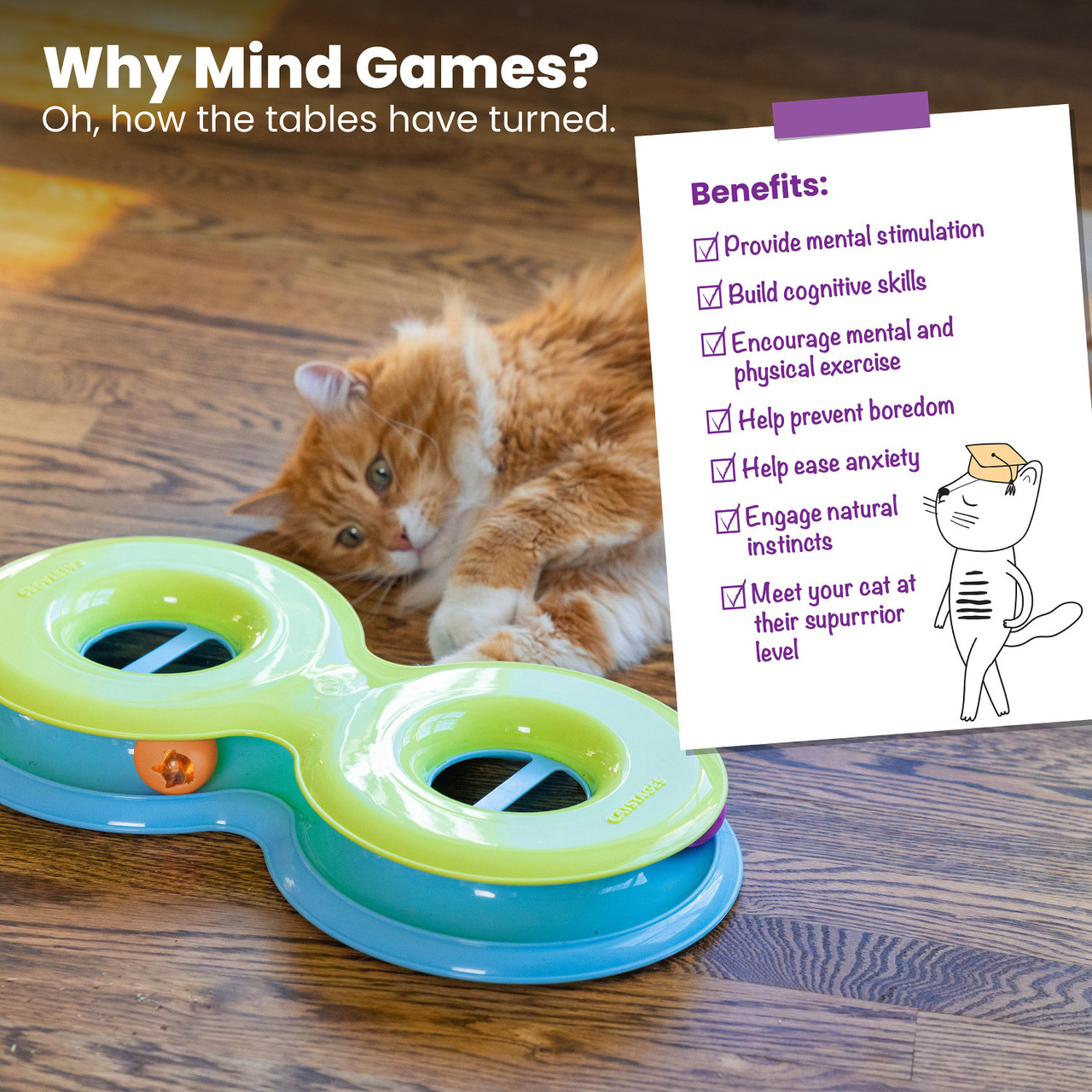 Infinity Ball Track for Cats - Image 6