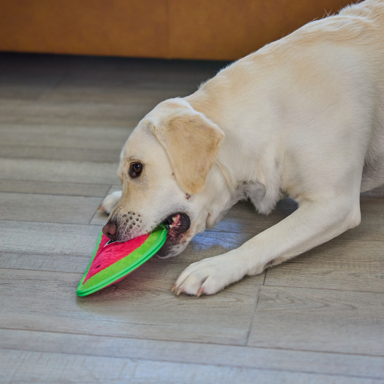 Tough Skinz Durable Dog Toy with Two Tough Layers, Watermelon, Red, Medium, Red - Image 6