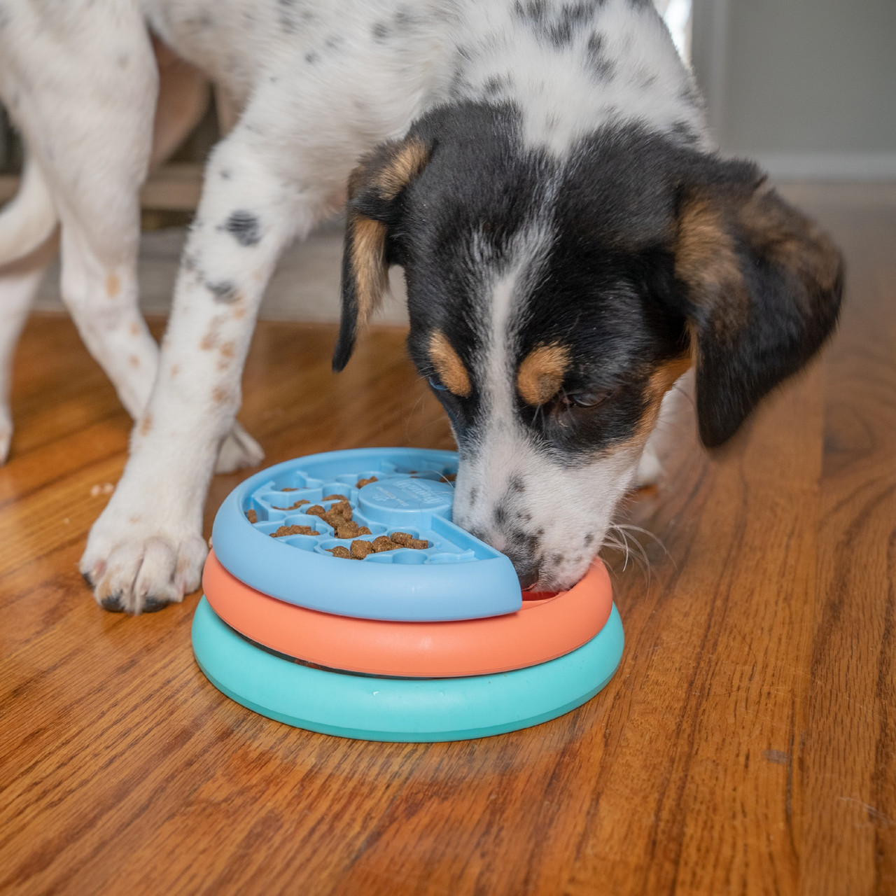 Puppy Lickin' Layers Dog Puzzle Game - Image 6