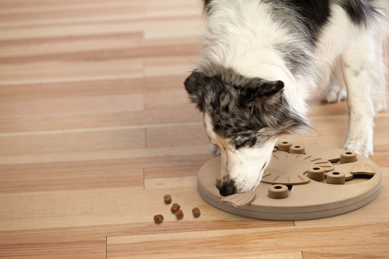 Dog Worker Interactive Treat Puzzle Dog Toy, Tan - Image 6