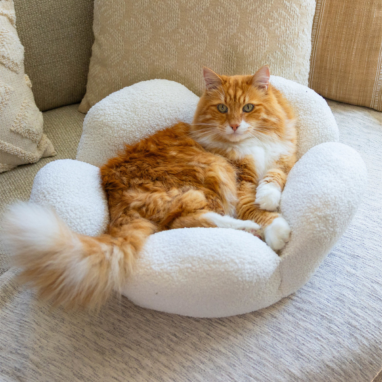 Purrfect Petals Cat Bed - Image 3