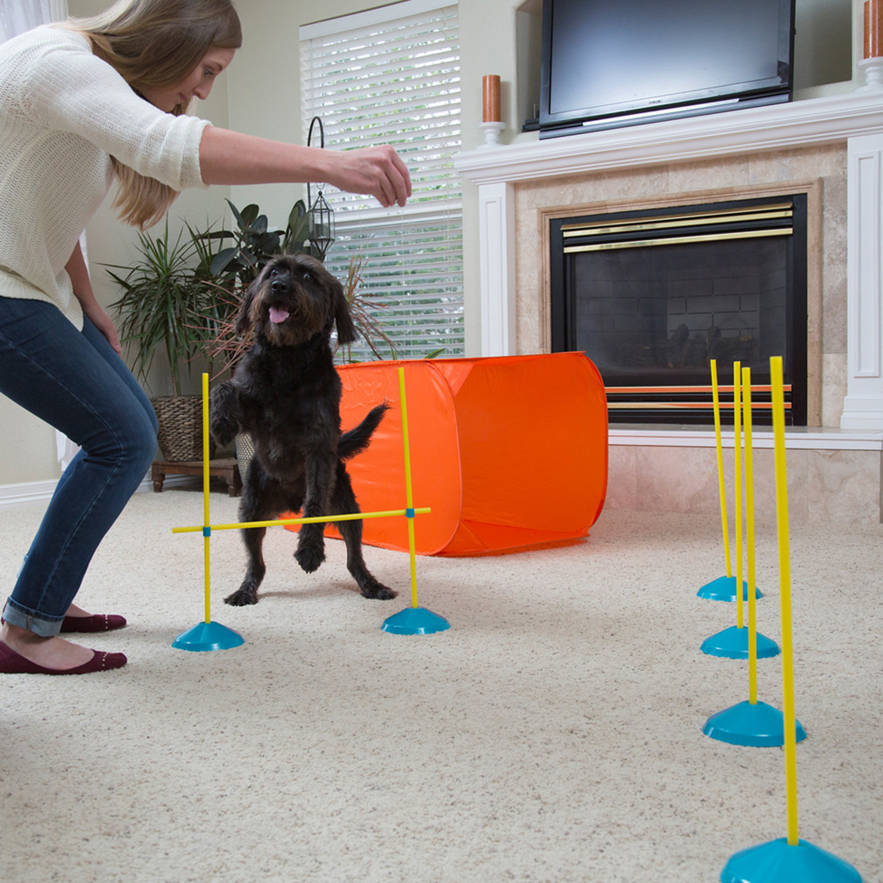 Zip & Zoom Indoor Dog Agility Training Kit for Dogs, Multi - Image 6