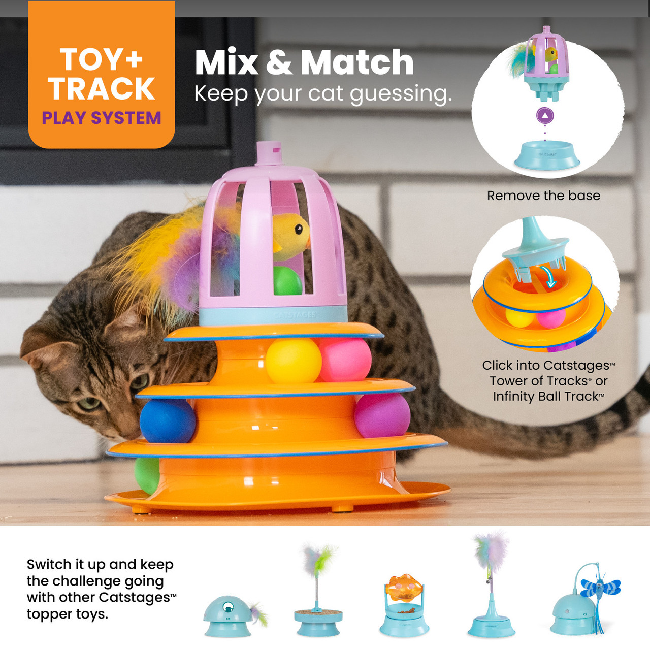 2in1 Track Topper Chirping Bird Toy - Image 5
