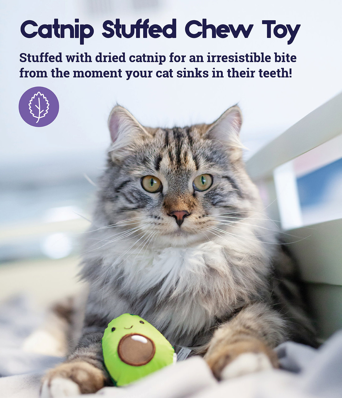 Lil' Avocato Dental Health Cat Chew Toy, Green - Image 4