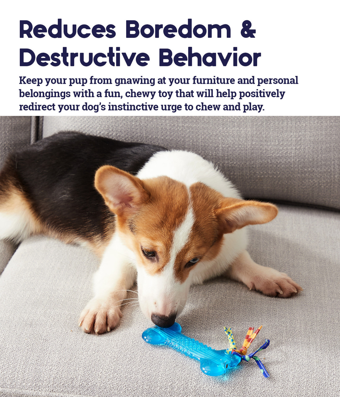 Orka Alternative Dog Chew Toy, Bone - Image 3